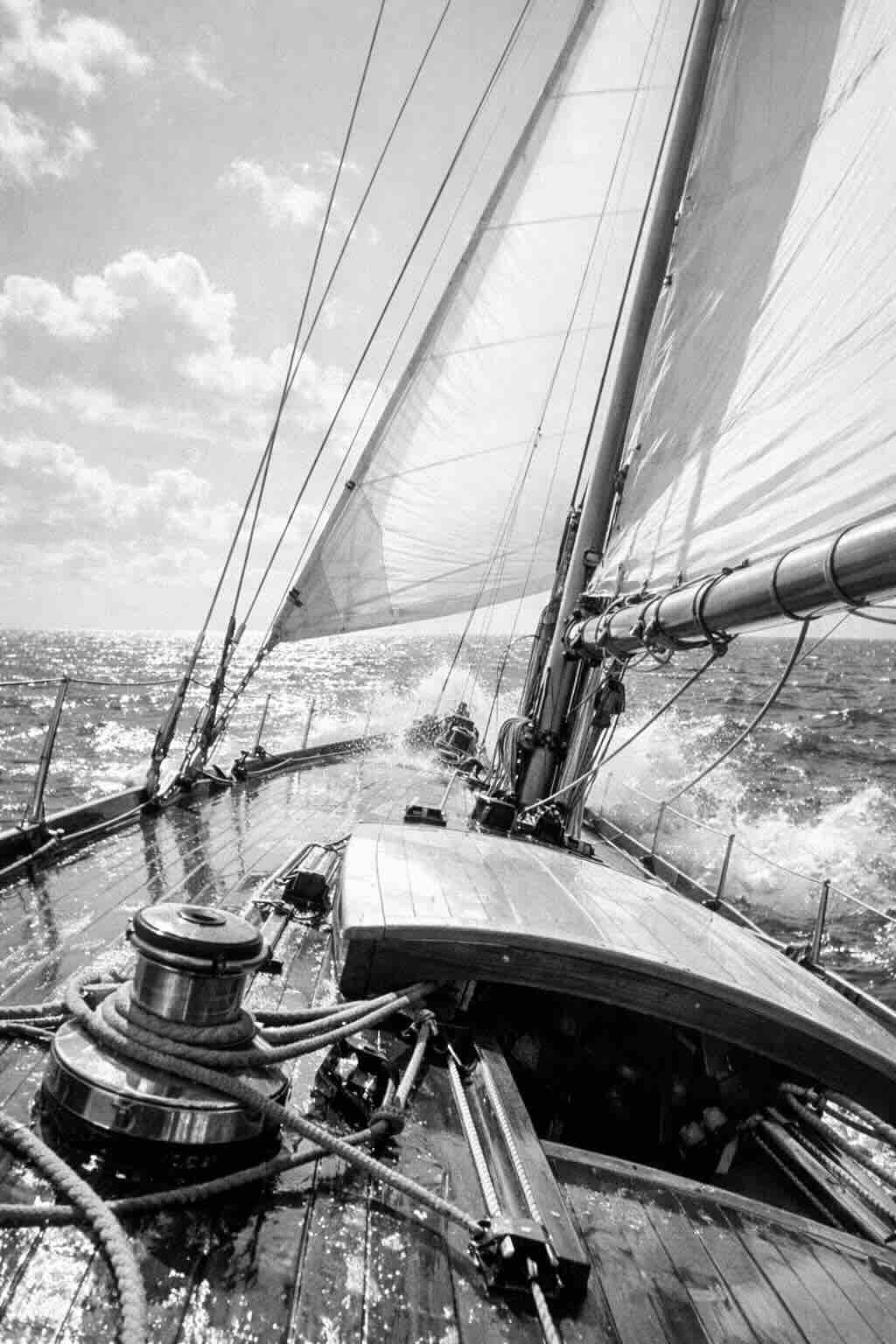 Machine Learning in the Wild